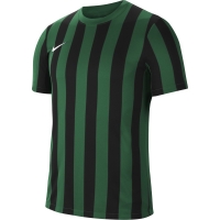 Футболка NIKE DF STRP DVSN IV JSY SS (SP21) CW3813-302 - вид 1 миниатюра