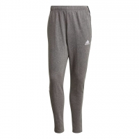 Штаны ADIDAS TIRO21 SW PNT (SS21)