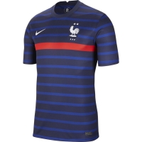 Футболка NIKE FFF BRT STAD JSY SS HM (SU21) CD0700-498 - вид 1 миниатюра