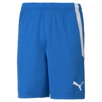 Шорты PUMA teamLIGA Shorts 70492402 - вид 1 миниатюра