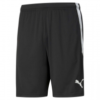 Шорты трен. PUMA teamLIGA Training Shorts (AW21) 65724903 - вид 1 миниатюра