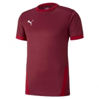 Футболка PUMA teamGOAL 23 Jersey (SS20)