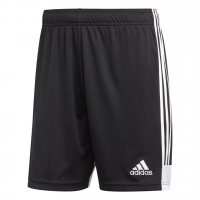 Шорты ADIDAS TASTIGO19 SHORT DP3246 - вид 1 миниатюра