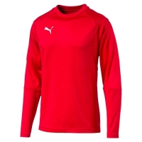 Свитер PUMA LIGA TRAINING SWEAT (SS18)