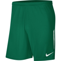 Шорты NIKE DRY LGE KNIT II SHORT NB JR (SP20) BV6863-302 - вид 1 миниатюра