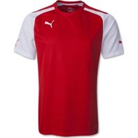 Футболка PUMA SPEED SS SHIRT (SS14) Футболка PUMA SPEED SS SHIRT (SS14)