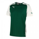 Футболка PUMA SPEED SS SHIRT (SS14)