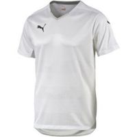 Футболка PUMA Stadium Shortsleeved Shirt (SS15) Футболка PUMA Stadium Shortsleeved Shirt (SS15)