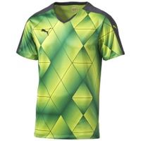 Футболка PUMA Swerve Shortsleeved Shirt (SS15) Футболка PUMA Swerve Shortsleeved Shirt (SS15)