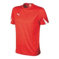 Футболка PUMA TEAM SHIRT Футболка PUMA TEAM SHIRT