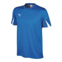Футболка PUMA TEAM SHIRT