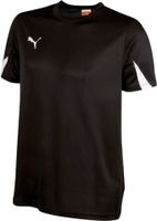 Футболка PUMA TEAM SHIRT