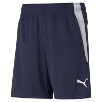 Детские шорты PUMA teamLIGA Training Shorts Jr (AW21)