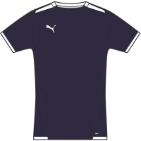 Детская Детская футболка PUMA teamLIGA Jersey Jr