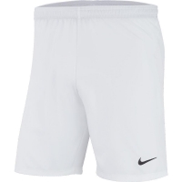 Детские шорты NIKE DRY LSR IV SHORT W JR (FA19)