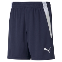 Шорты PUMA teamLIGA Shorts Jr 70493106 - вид 1 миниатюра