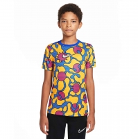 Детская футболка NIKE DF GX2 TOP SS FP JR (HO21) DM4409-719 - вид 1 миниатюра