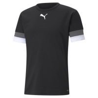 Футболка PUMA teamRISE Jersey 70493203 - вид 1 миниатюра