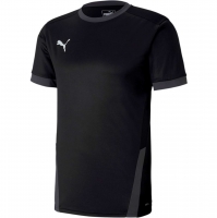 Футболка PUMA teamGOAL 23 Jersey (SS20)