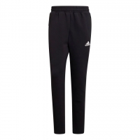 Штаны ADIDAS GT9781 - вид 1 миниатюра