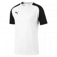Футболка PUMA CUP Training Jersey Core (SS19)