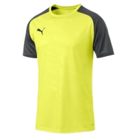 Футболка PUMA CUP Training Jersey Core (SS19)