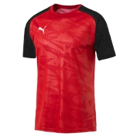 Футболка PUMA CUP Training Jersey Core (SS19)