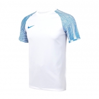 Футболка NIKE DF ACADEMY JSY SS (SP22) DH8031-102 - вид 1 миниатюра