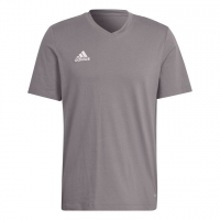 Футболка ADIDAS ENT22 TEE (SS22) HC0449 - вид 1 миниатюра