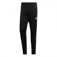Штаны ADIDAS ENT22 TR PNT (SS22) HC0332 - вид 1 миниатюра