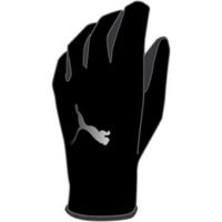 Перчатки PUMA PR Thermo Gloves (FW14)