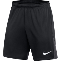 Шорты NIKE DF ACDPR SHORT K (SP22) DH9236-014 - вид 1 миниатюра