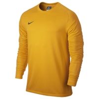 Детский вратарский свитер NIKE PARK II GOALIE JERSEY JR (SU14)