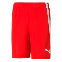 Шорты PUMA teamLIGA Shorts 70492401 - вид 1 миниатюра