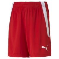Шорты PUMA teamLIGA Shorts Jr 70493101 - вид 1 миниатюра