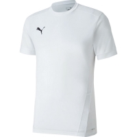 Футболка PUMA teamGOAL 23 Jersey (SS20) 70417114 - вид 1 миниатюра