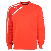 Свитер PUMA SPIRIT SWEAT