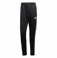 Штаны ADIDAS CORE18 TR PNT CE9036 - вид 1 миниатюра