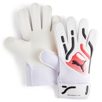 Puma one grip 17.4 store