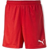 Шорты PUMA Pitch Shorts WithInnerbrief (SS15) Шорты PUMA Pitch Shorts WithInnerbrief (SS15)