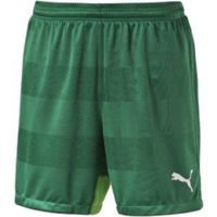 Шорты PUMA Stadium Shorts W Innerbrief (SS15) Шорты PUMA Stadium Shorts W Innerbrief (SS15)