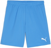 Шорты PUMA teamGOAL Shorts (SS24) 70575202 - вид 1 миниатюра