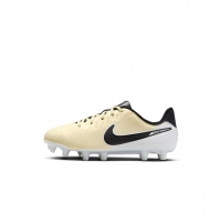 Детские бутсы NIKE LEGEND 10 ACADEMY FG/MG JR DV4348-700 - вид 1 миниатюра