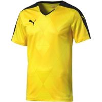 Футболка PUMA Swerve Shortsleeved Shirt (SS15) Футболка PUMA Swerve Shortsleeved Shirt (SS15)