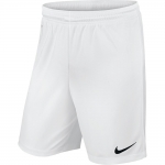 Шорты NIKE PARK II KNIT SHORT WB (SP16)