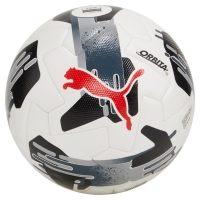 Футбольный мяч PUMA ORBITA 1 TB FIFA Quality Pro 08432202 - вид 1 миниатюра