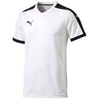 Футболка PUMA Pitch SS (SS15) Футболка PUMA Pitch SS (SS15)