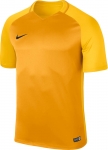 Футболка NIKE DRY TROPHY III JSY SS (SU17)