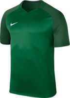Футболка NIKE DRY TROPHY III JSY SS (SU17)