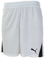 Шорты PUMA TEAM SHORTS Шорты PUMA TEAM SHORTS